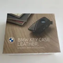 Item thumbnail for item 8ceabafd-5ea9-4b82-acec-fbd75bf48328