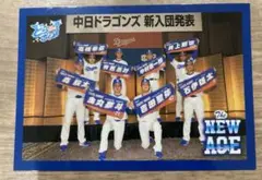 中日ドラゴンズ 球場配布カード