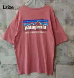 Patagonia Lsize 半袖Tシャツ ワンポイントロゴ バッグロゴのサムネイル