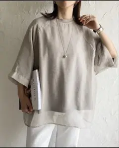 She's Closet オーガンジー異素材ドッキングラグレイヤード半袖Tシャツ