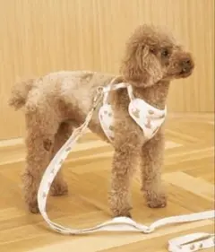 Item thumbnail for item ae76ab01-5b6d-4bad-bcb4-ec7a74e498e3