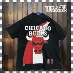 激レア 90s BIGサイズ XL フルーツオブザルーム シカゴブルズ Tシャツ