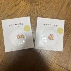 Item thumbnail for item 427c5616-6b13-465f-8c3c-60a2da99f760