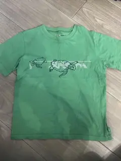 LL Bean 緑色 Tシャツのサムネイル