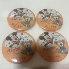 アウラニ ディズニーリゾート 缶バッジ 4個セット