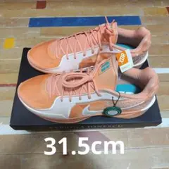 【新品未使用】Nike Sabrina2 / ナイキ サブリナ２