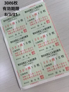 野田市指定ごみ袋引換券 30L 10枚×6枚