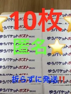 ゆうパケットポストmini 専用封筒 10枚セットその135