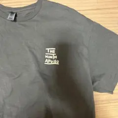 ナインスアポロ