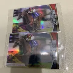 最新弾 サラブレッドホース ツインウエハース 第3R ブレイディヴェーグ サイン