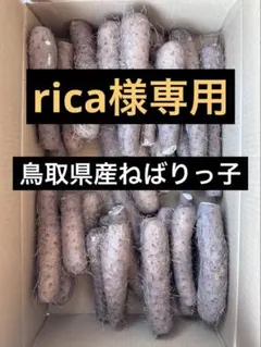 鳥取県産ねばりっこ4キロ箱込のサムネイル
