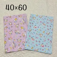 ランチョンマット 40×60 2枚セット　ユニコーン柄　女の子用　女児　給食用