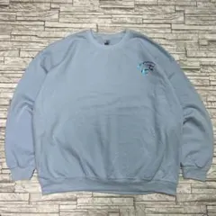 NFL カロライナパンサーズ スウェット ライトブルー 光沢ロゴ GILDAN