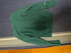 Item thumbnail for item 39fce3ac-4493-4164-833d-b140651b8582