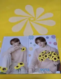 FANTASTICS SUNFLOWERフォトカード 中島颯太①