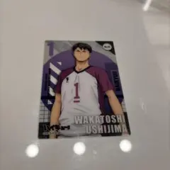 ハイキュー クリアカード カード トレカ 推し活 牛島若利 白鳥沢 ウシワカ