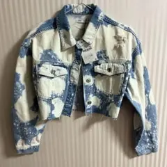 ZARA Gジャン　ジージャン　トップス　デニム　春