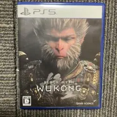 PS5 黒神話:悟空