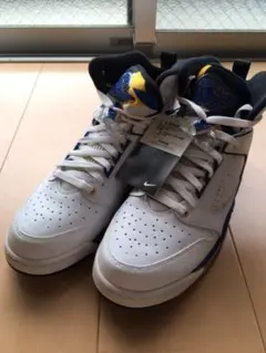 限定JORDAN 60+ NIKE エアジョーダン ジョーダン5