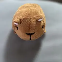 カピバラ ツムツムぬいぐるみ アドベンチャーワールド