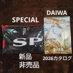 非売品】ケツメイシ リバーシブルキャンプクッション 2個セッ - メルカリ