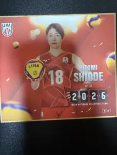 バレーボール女子日本代表2026 トレーディングmini色紙 関菜々巳