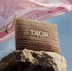 DIOR♡ ディオールストロー刺繍ポーチ限定ノベルティのサムネイル