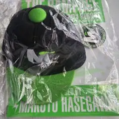 長谷川慎 ミュージシャン