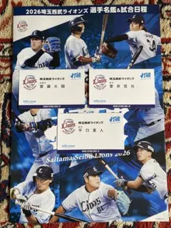 埼玉西武ライオンズ滝澤夏央選手直筆サインロゴ色紙 非売品 - メルカリ