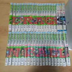 夏休みに一気読み！ドラゴンボール全42巻完結セット 背表紙不揃いでお
