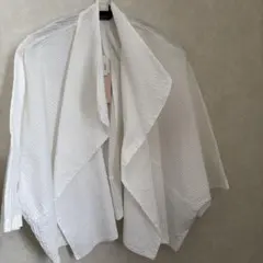 Item thumbnail for item f1ff21e3-9dda-4882-bfa1-086c74488f5f