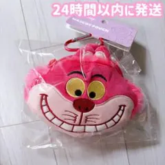 ③ディズニー ぬいぐるみファスナーマスコット カラビナ付き チェシャ猫