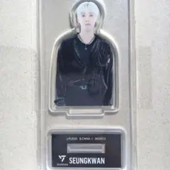 Seventeenアクリルスタンドvol、２ SEUNGKWAN