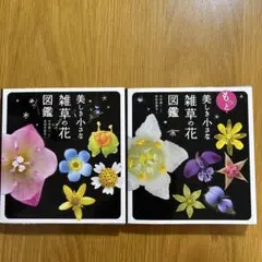 美しき小さな雑草の花図鑑