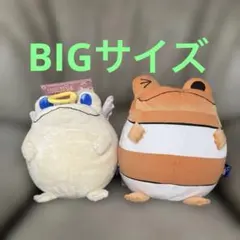 フロッグスタイル　ぬいぐるみ