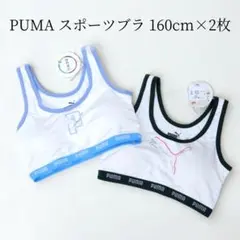 未使用 PUMA プーマ スポーツブラ ガールズ ハーフトップ 160cm 2枚