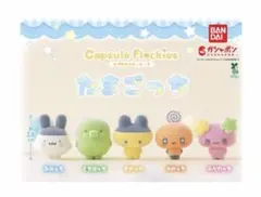 たまごっち カプセルフロッキーズ 5種セット