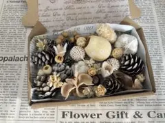 自然素材リース材料セット