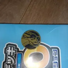 ポケモンカードゲーム リザードン コイン　メガリザードン