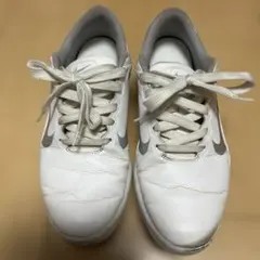 Item thumbnail for item 21d40658-1f84-4023-b1da-54e1d2ef57ef