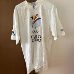 Item thumbnail for item 349b266e-23e4-4a62-9ec4-2b4e824c8aa9