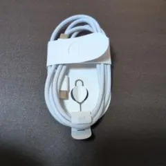 USB Type C to C Apple純正