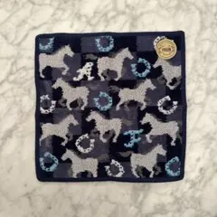 フェイラー　スプリントホース　ユナイテッドアローズ別注