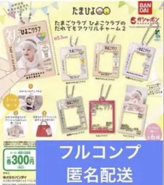 たまごクラブ ひよこクラブの だれでもアクリルチャーム2 全6種フルコンプセット