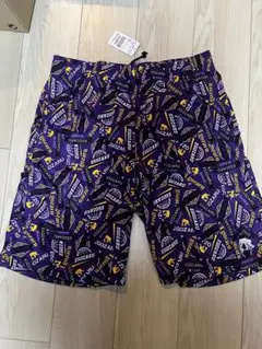 Item thumbnail for item 42237c1d-07be-4afc-82d9-3ac5b5600877