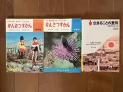 夏の虫 夏の花 645種の身近な生きものの世界 - メルカリ