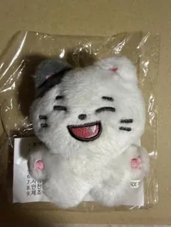 &TEAM マスター ぬいぐるみ YUMA ユウマ