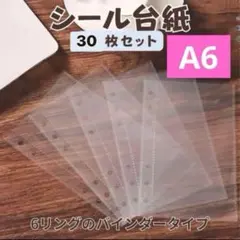 シールファイル　30枚セット　キッズ　平成　レトロ　A6 シール帳　大人　台紙