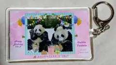 Item thumbnail for item 8b7b12dd-5b7b-4e92-a7c6-9ba0b6eccc56