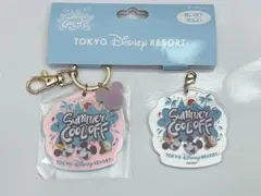 ディズニー　サマークールオフ　キーチェーン　ファスナーチャームプレート